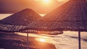 Une scène de plage avec des parasols et des chaises longues.