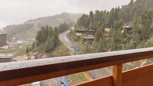 Udsigt fra en balkon over en snoet vej gennem et skovområde med bygninger på skråningen.