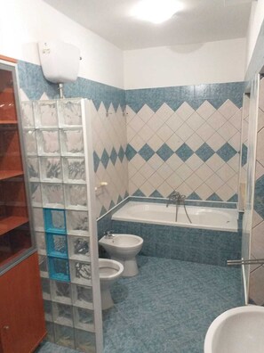 Combined shower/bathtub, bidet