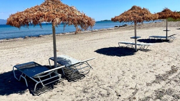 A beach with sun loungers and thatched umbrellas. - Studio Apartment 'Alexandra Studio 11' with Private Balcony and Wi-Fi (Lefkimmi)
