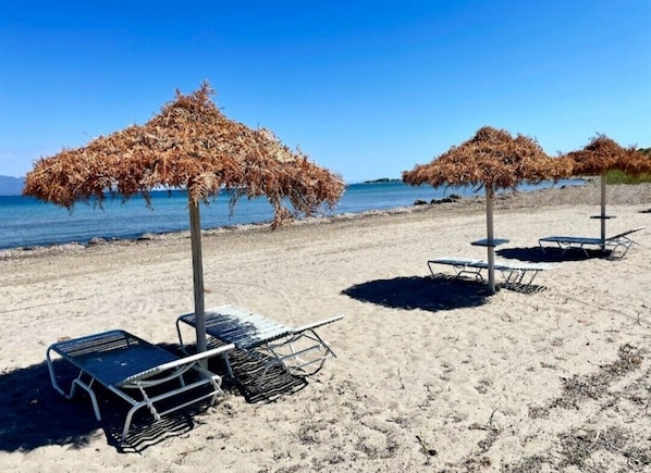 Playa en los alrededores 