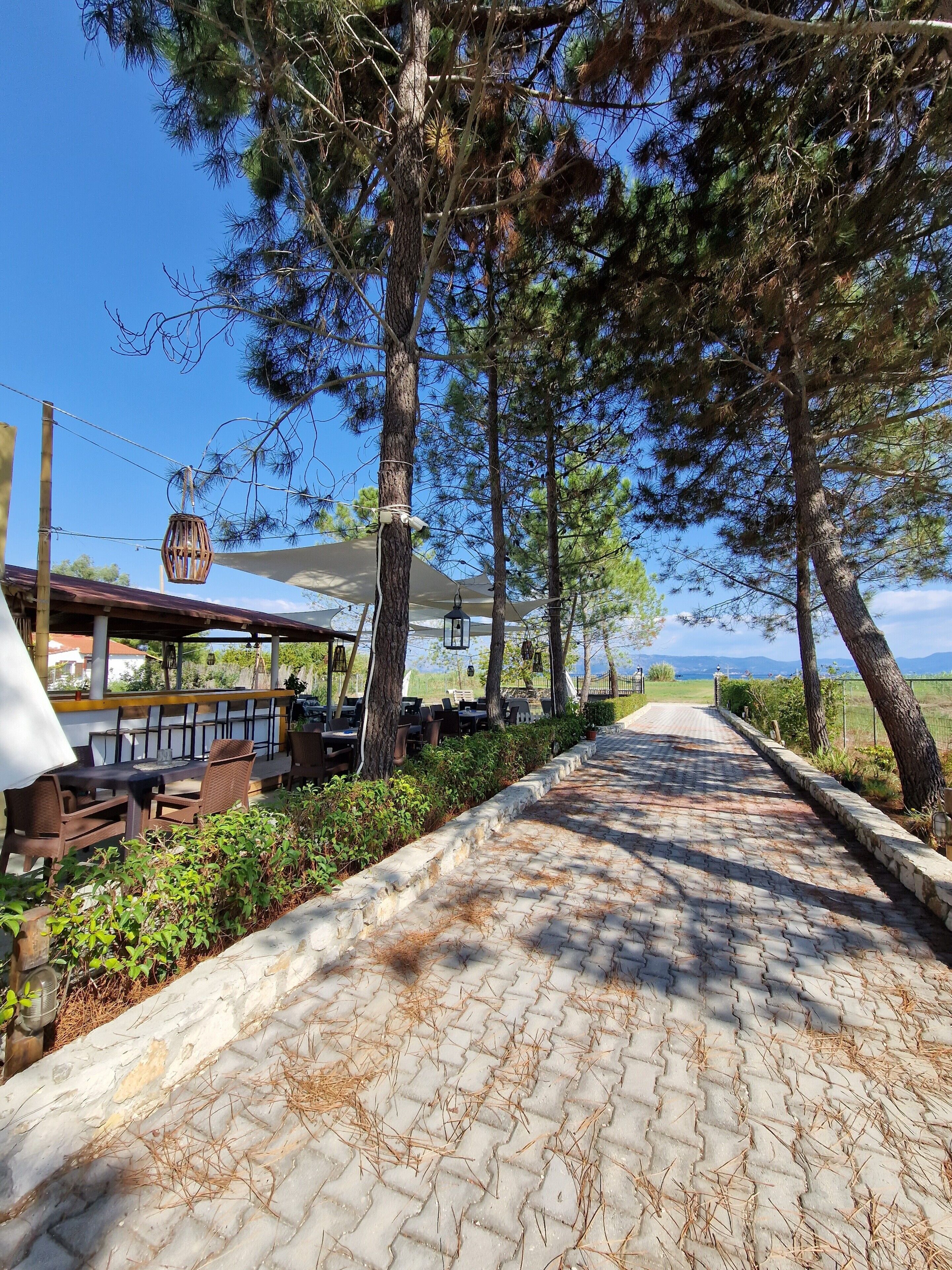 Un sendero pavimentado bordeado de árboles, con mesas al aire libre y vistas del paisaje.