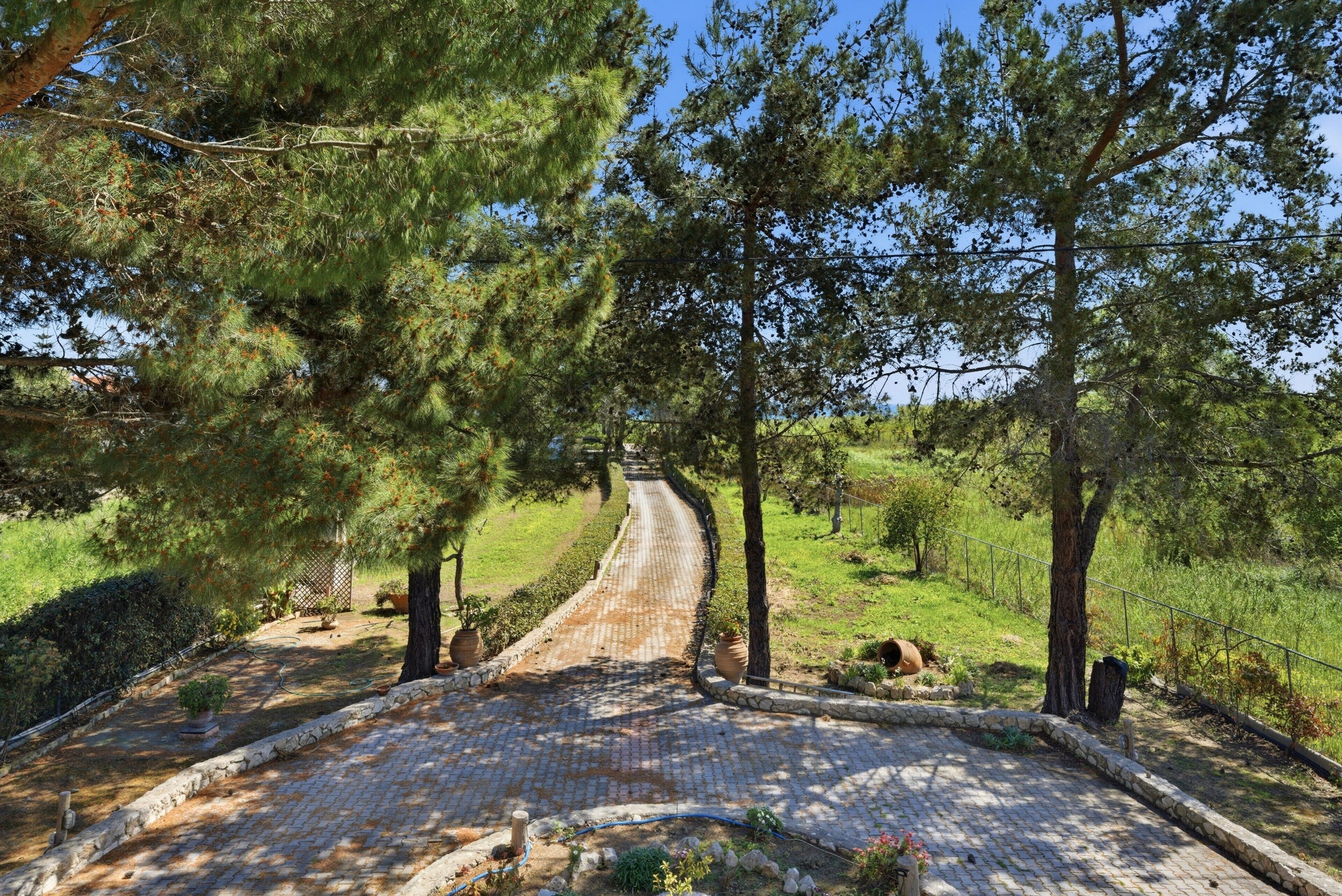 Un vialetto lastricato che si snoda attraverso un'area verde con alberi e arbusti.