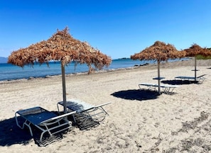 Ein Strand mit Liegestühlen und Reetsonnenschirmen.