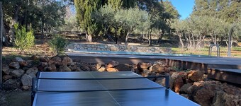 Charming Provencal villa with swimming pool in the heart of olive groves