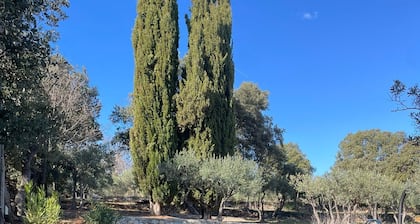 Charming Provencal villa with swimming pool in the heart of olive groves