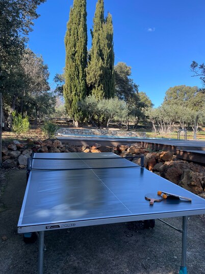 Charming Provencal villa with swimming pool in the heart of olive groves