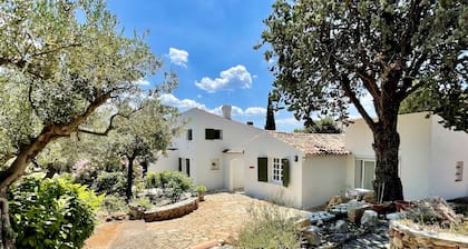 Villa provençale de charme avec piscine au coeur des oliviers
