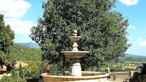 Une fontaine à plusieurs niveaux, entourée de plantes en pot et d’un grand arbre.