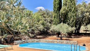 Une piscine bordée de pierres, entourée d’une terrasse en bois et de chaises longues.
