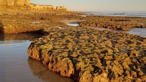 Eine felsige Küstenlinie mit großen Felsen und ruhigem Meer.