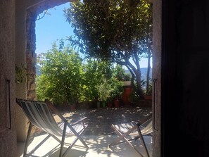 Terras