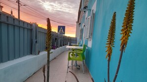 Une terrasse sur le toit avec un mur bleu, des chaises vertes et des plantes d’aloe vera.