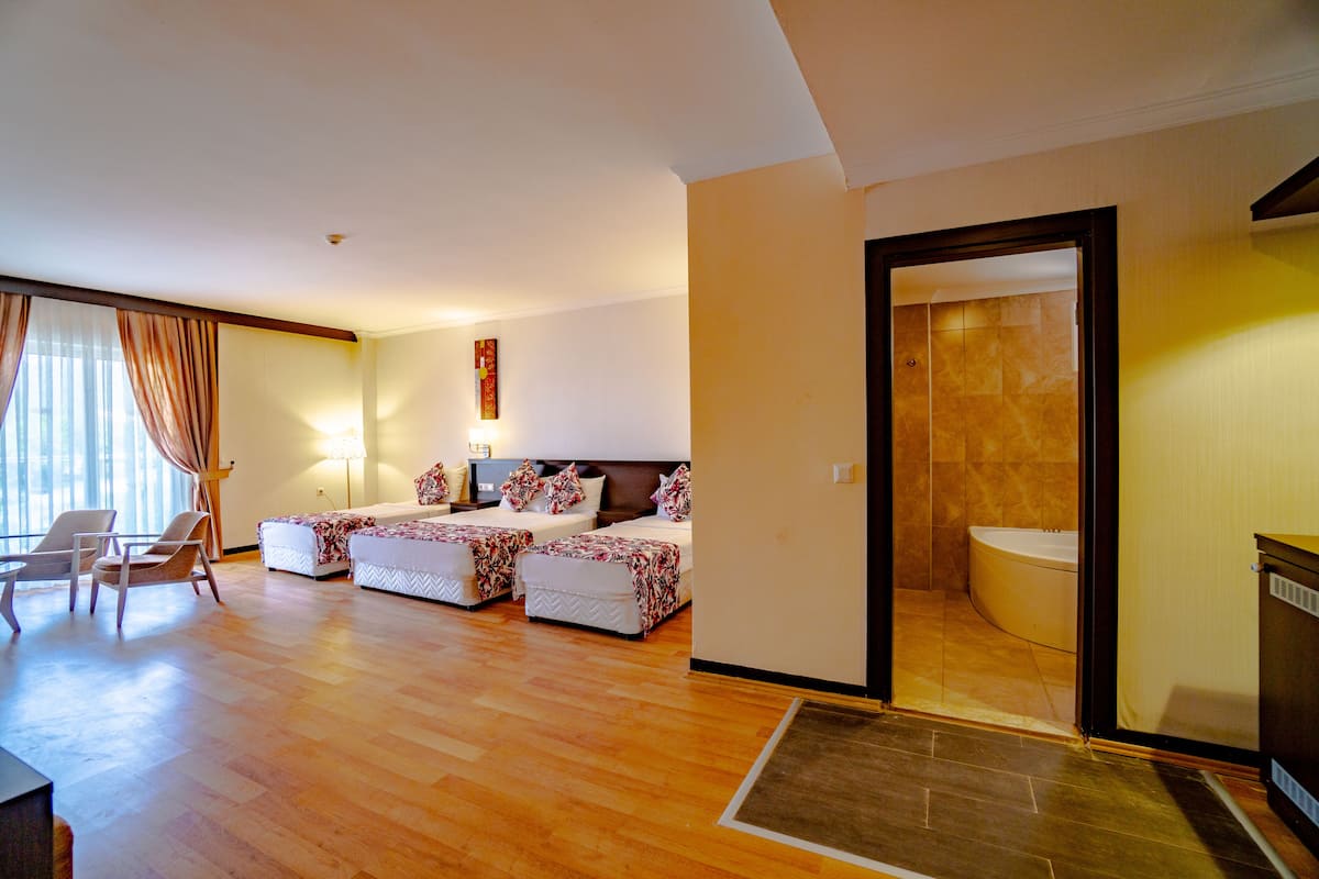 Habitación estándar con 1 cama matrimonial o 2 individuales