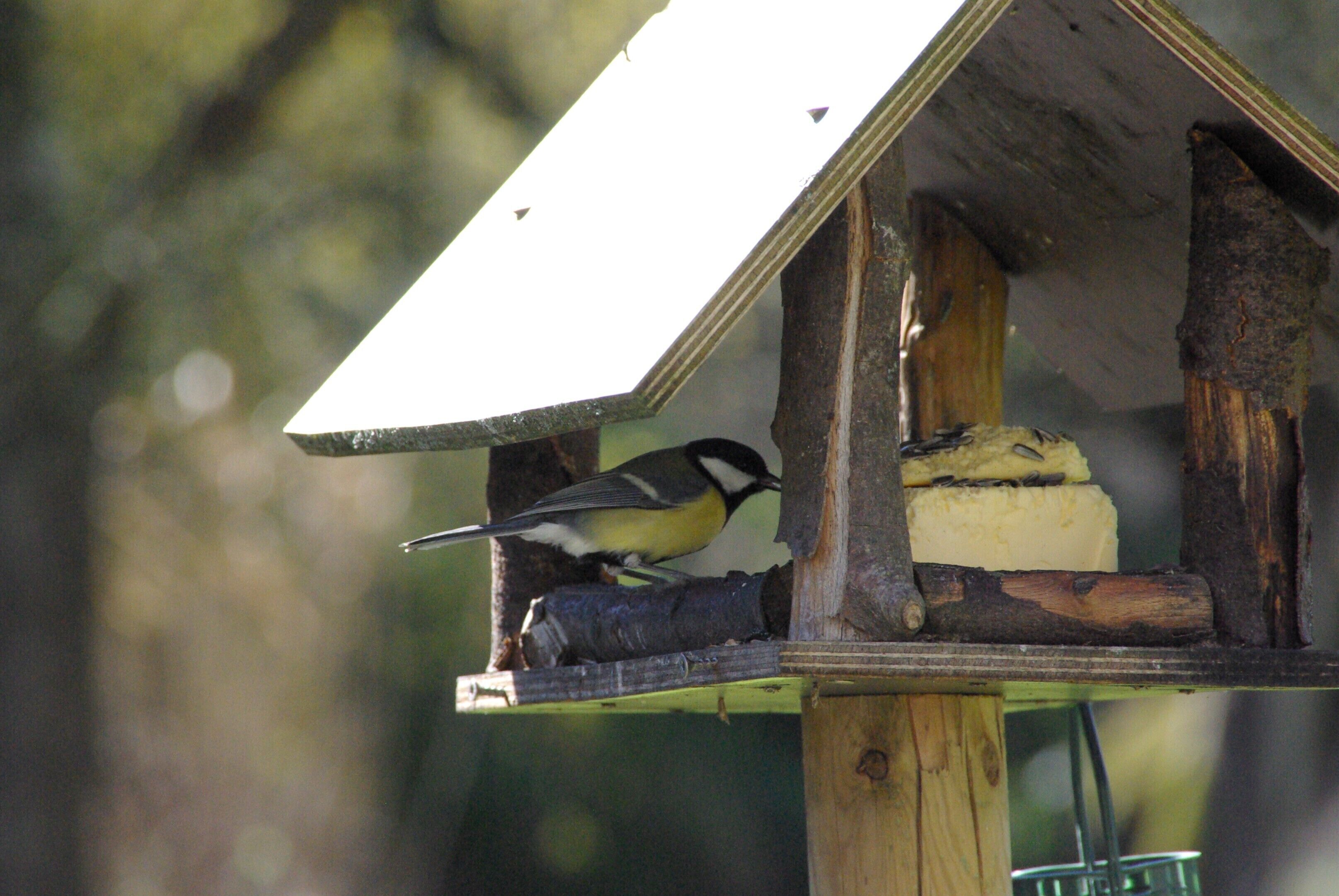 A birdhouse with a bird perched on it.