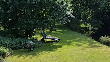 Un jardin bien entretenu, avec une pelouse, deux chaises longues et une brouette.