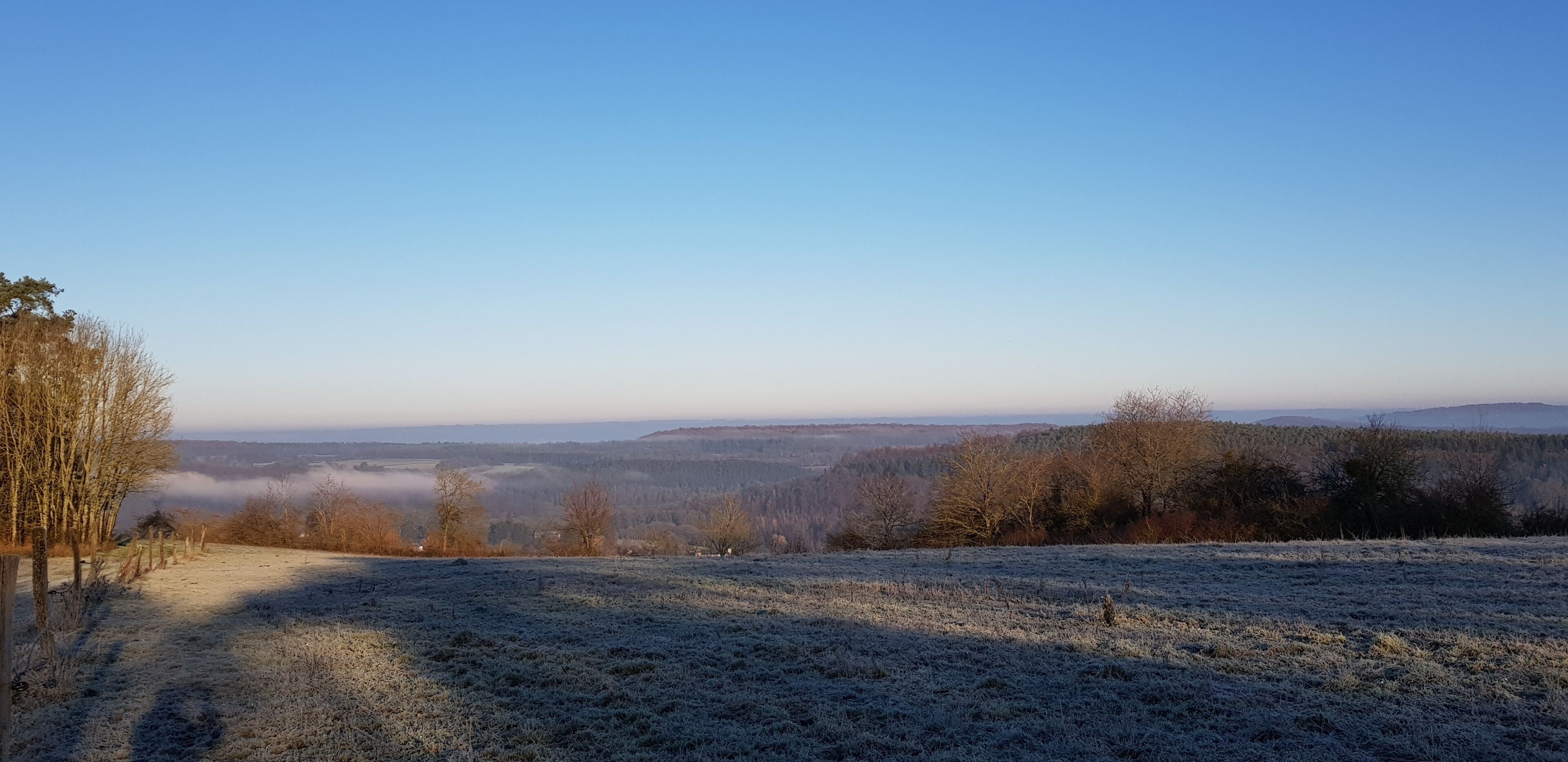 A frost-covered field with trees and a clear sky.