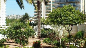 A landscaped garden with various plants and trees, a palm tree, and a view of a cityscape in the background. - Inftour President 1 Apartamento (Calp)