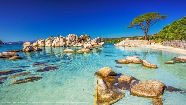 Escena costera con agua turquesa cristalina, rocas grandes y un árbol en una playa de arena.