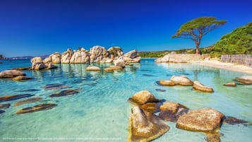 Parasols, serviettes de plage