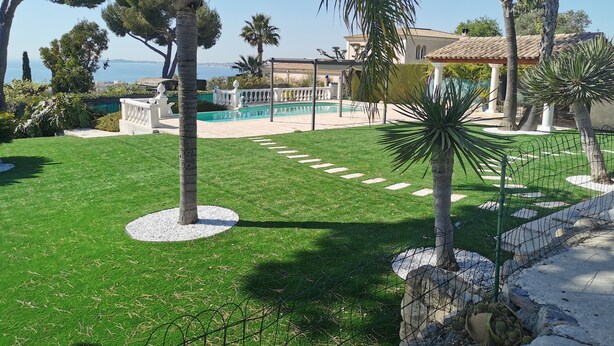 Ein gepflegter Rasen mit Pool, Palmen und Meerblick.