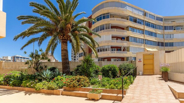 Een hotel met meerdere verdiepingen, balkons, een palmboom en een verzorgde tuin met diverse planten en bloemen.