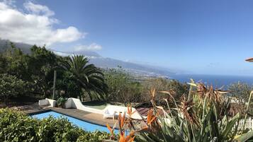 Relax by the serene ocean view pool surrounded by lush greenery and tropical plants.