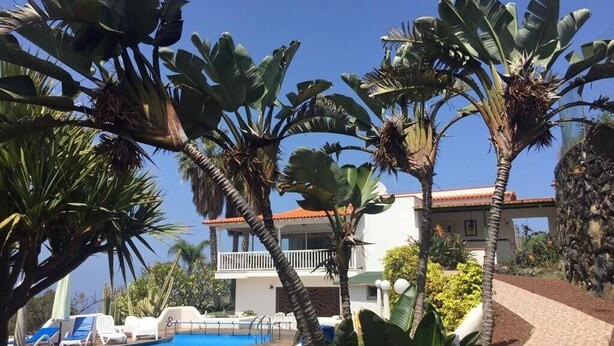 A pool area with lounge chairs, palm trees, and a building with a red roof.