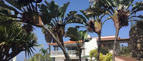 Una piscina al aire libre, una piscina climatizada