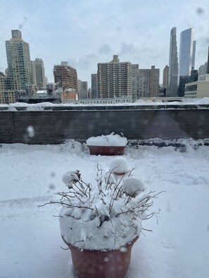 Property grounds - An Oasis in NYC (New York)