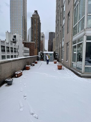 Property grounds - An Oasis in NYC (New York)