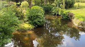 Een vredig vijver omgeven door weelderige begroeiing en bomen.