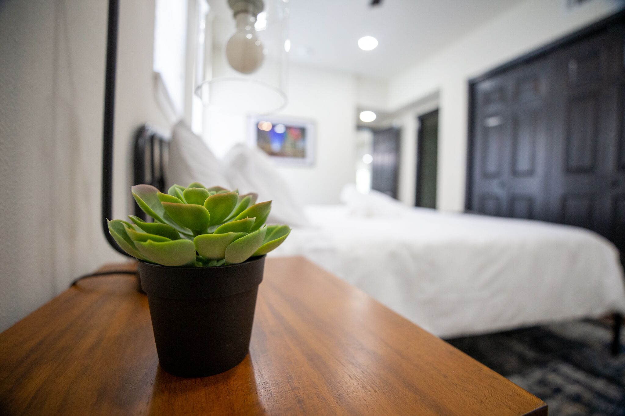 A potted succulent on a wooden table in a hotel room with a bed and a door in the background.