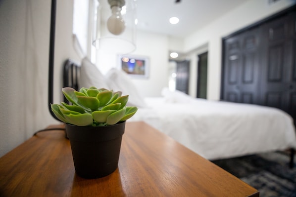 A potted succulent on a wooden table in a hotel room with a bed and a door in the background.