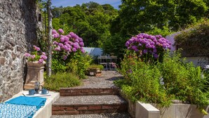 Escadaria de pedra que dá acesso a um jardim com mesa e cadeiras, cercado por vegetação exuberante e flores roxas.