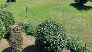 Un campo cubierto de hierba con varios árboles y una cerca.