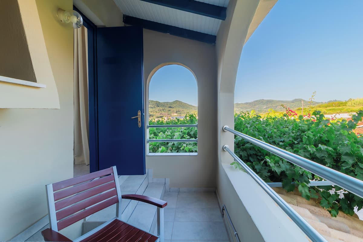 Junior Studio Suite, 1 King Bed, Non Smoking, Mountain View | Terrace/patio