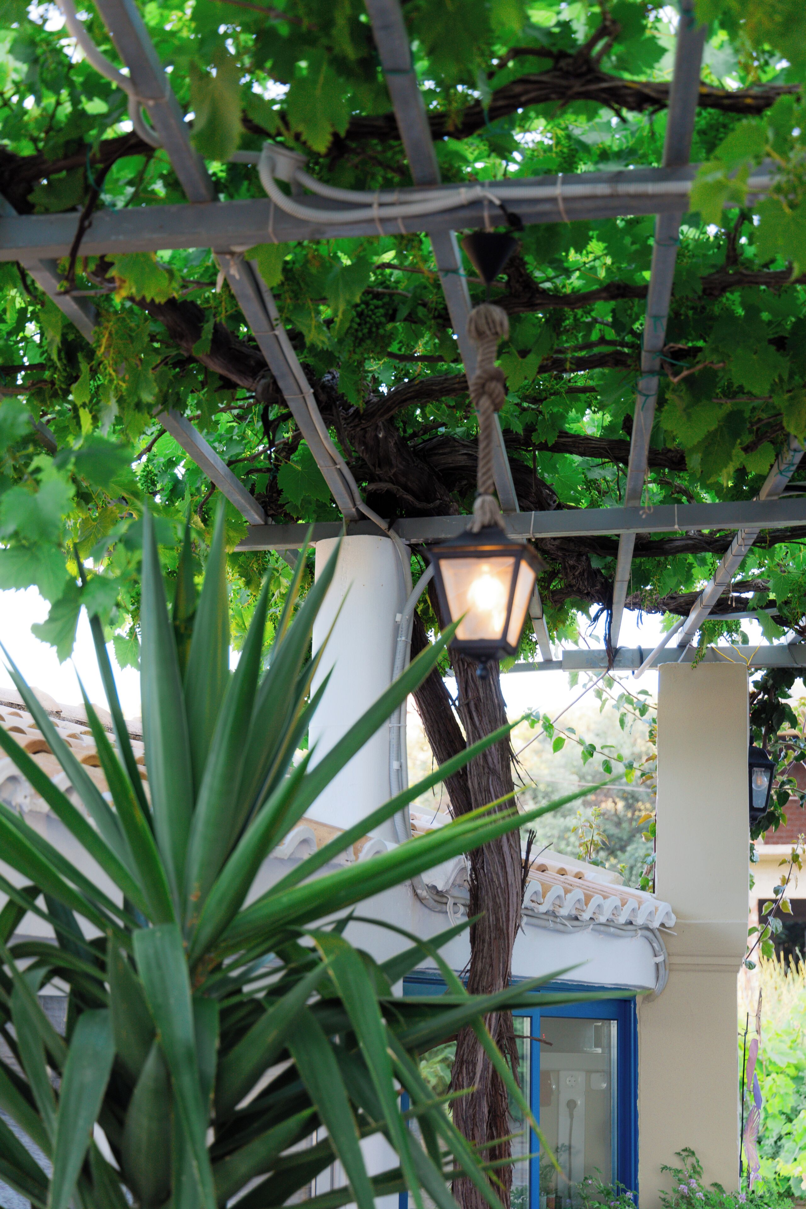 Photo - Sunsea Wellness Resort