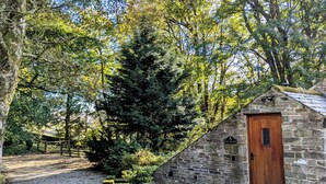 A stone building with a wooden door, surrounded by trees and a gravel path. - Bothy (Alston)