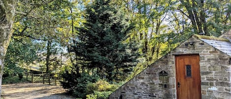 Cottage | Property grounds