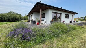 Une maison moderne dotée d’un patio couvert, entourée d’une végétation luxuriante et de champs de lavande.