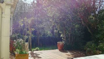 テラス / パティオ