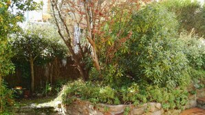 Ein Garten mit einer Steinmauer, verschiedenen Pflanzen und Bäumen, einem Pflasterweg und einem kleinen Wasserbecken.
