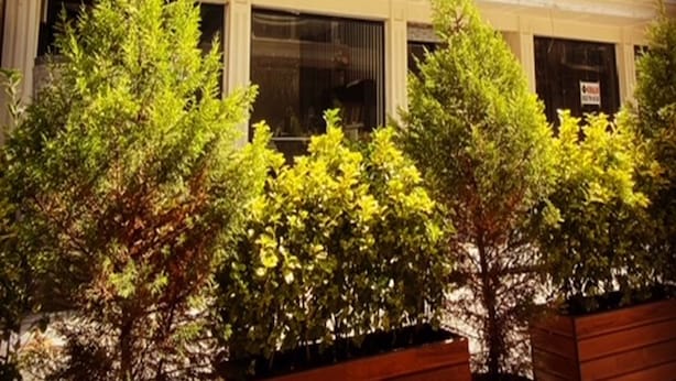 A multi-story building with balconies and large windows. - BALPETEK HOTEL (Istanbul)