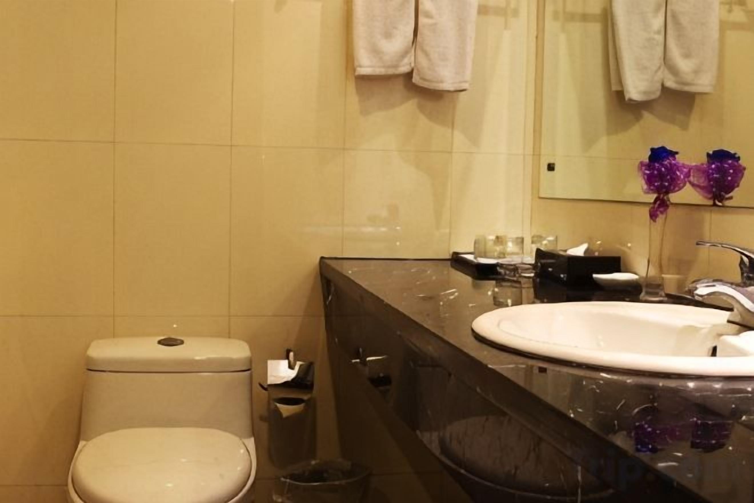 Une salle de bain avec des toilettes, un lavabo et un miroir.