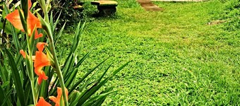 Beautifull farm apartment with small ranch full of nature.