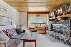 TV, fireplace, books, stereo