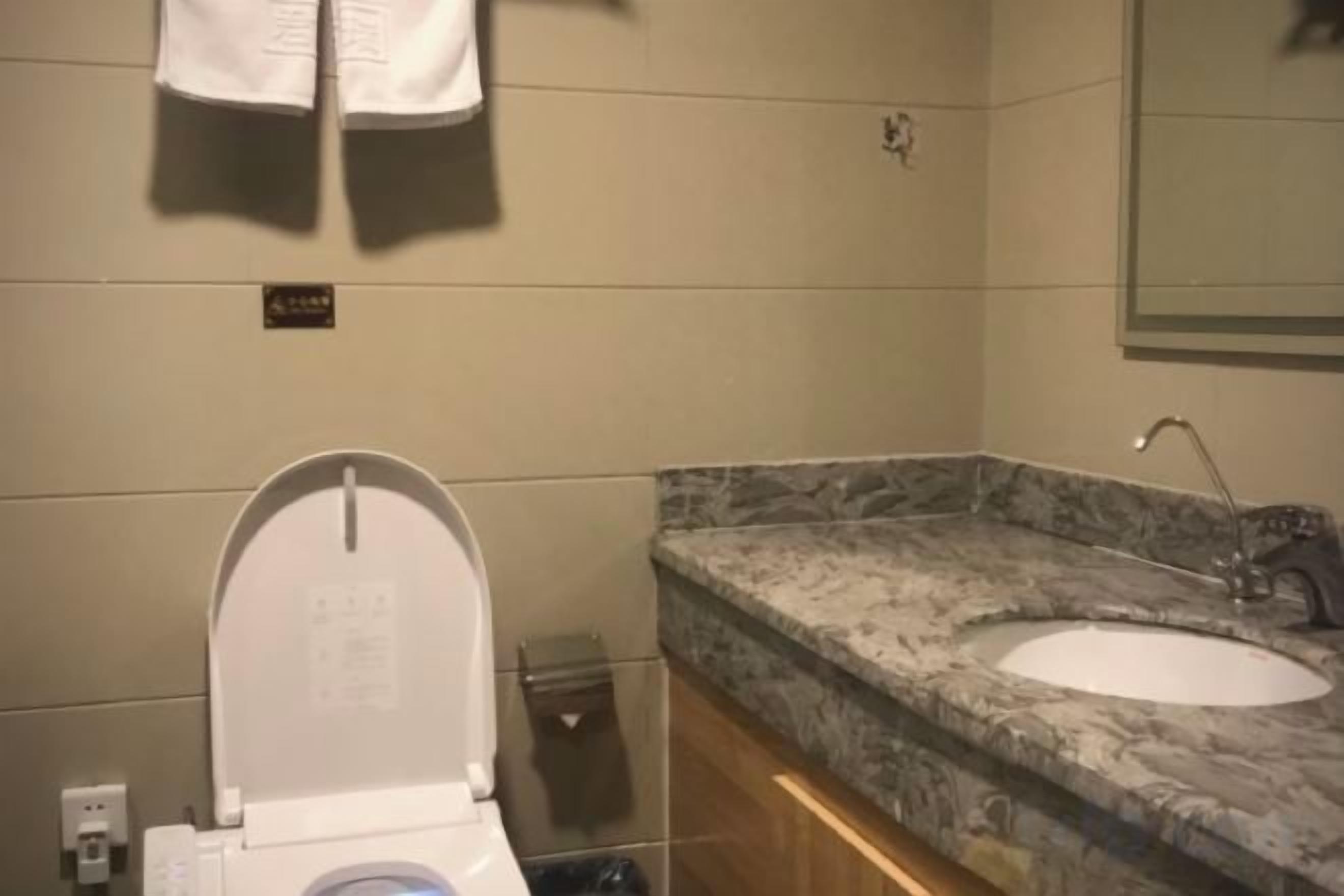 A bathroom with a toilet, sink, and marble countertop.