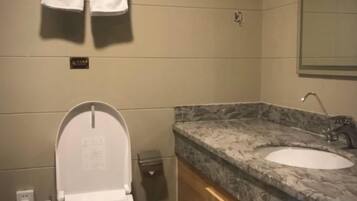 A bathroom with a toilet, sink, and marble countertop.