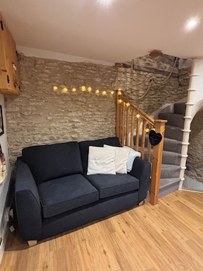 Smart TV, chimenea y libros 